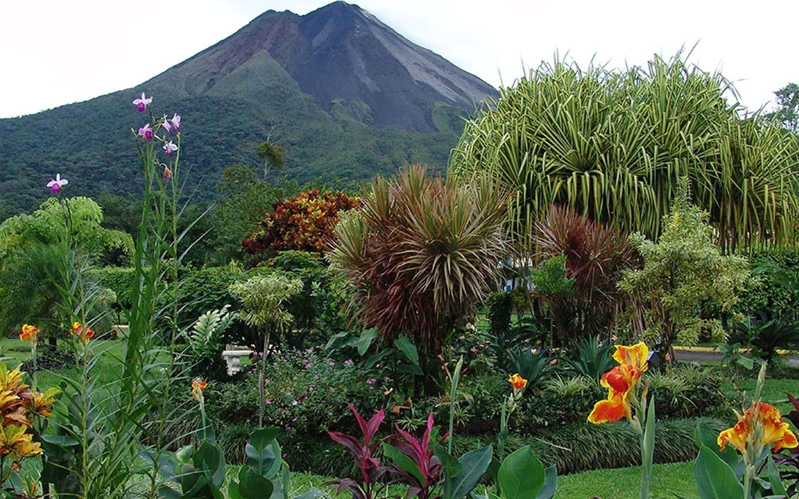 Family Travel - Tropical Costa rica